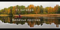 Беличьи протоки 11 октября